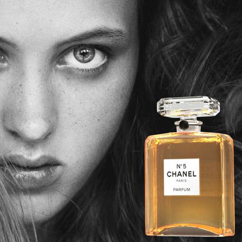 Chanel No. 5 - LuxRender preview image